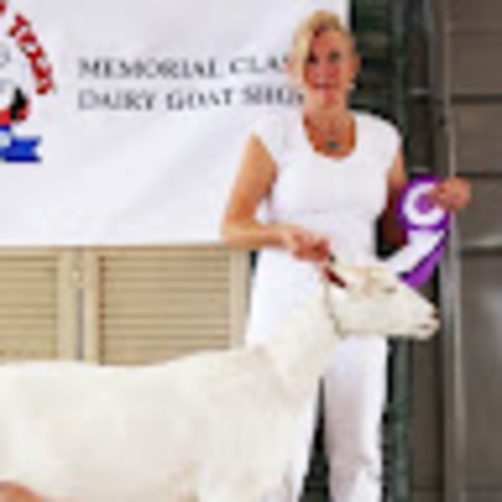 Meet your Posher, Lisa